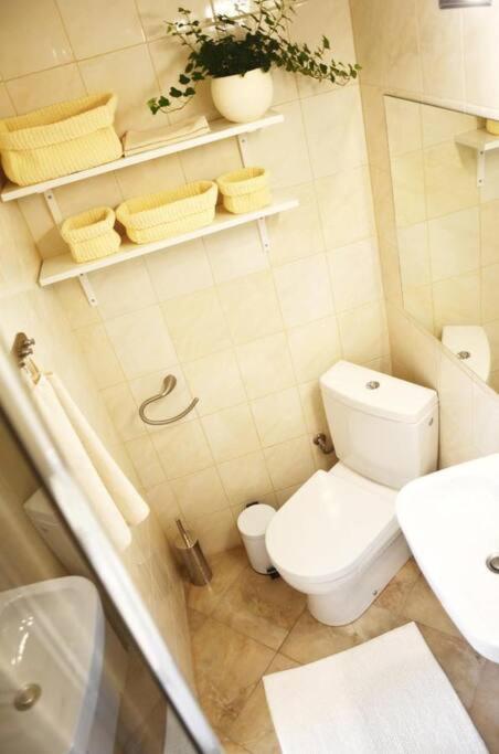 Apartment Elizabeth 1 Košice Extérieur photo