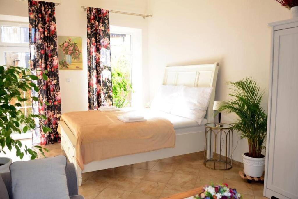 Apartment Elizabeth 1 Košice Extérieur photo